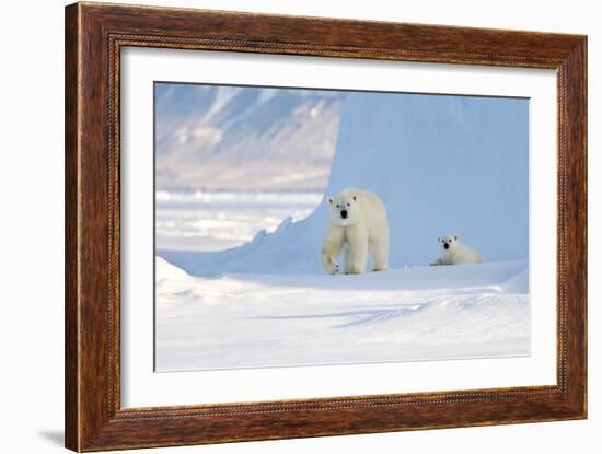 Polar Bear Mother And Cub-Louise Murray-Framed Photographic Print