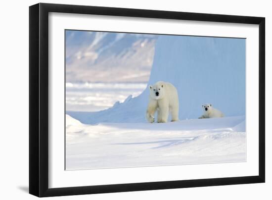 Polar Bear Mother And Cub-Louise Murray-Framed Photographic Print