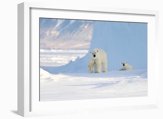 Polar Bear Mother And Cub-Louise Murray-Framed Photographic Print