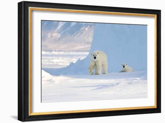 Polar Bear Mother And Cub-Louise Murray-Framed Photographic Print