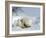 Polar Bear Mother with Twin Cubs, Wapusk National Park, Churchill, Manitoba, Canada-Thorsten Milse-Framed Photographic Print