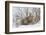 Polar Bear Nursing Cub (Ursus Maritimus) , Wapusk Nat'l Pk, Churchill, Hudson Bay, Manitoba, Canada-David Jenkins-Framed Photographic Print