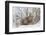 Polar Bear Nursing Cub (Ursus Maritimus) , Wapusk Nat'l Pk, Churchill, Hudson Bay, Manitoba, Canada-David Jenkins-Framed Photographic Print