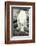 Polar Bear on Harbour Islands, Hudson Bay, Nunavut, Canada-Paul Souders-Framed Photographic Print