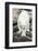 Polar Bear on Harbour Islands, Hudson Bay, Nunavut, Canada-Paul Souders-Framed Photographic Print