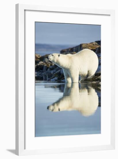 Polar Bear on Harbour Islands, Hudson Bay, Nunavut, Canada-Paul Souders-Framed Photographic Print