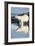 Polar Bear on Harbour Islands, Hudson Bay, Nunavut, Canada-Paul Souders-Framed Photographic Print