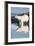 Polar Bear on Harbour Islands, Hudson Bay, Nunavut, Canada-Paul Souders-Framed Photographic Print