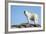 Polar Bear on Harbour Islands, Hudson Bay, Nunavut, Canada-Paul Souders-Framed Photographic Print