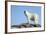 Polar Bear on Harbour Islands, Hudson Bay, Nunavut, Canada-Paul Souders-Framed Photographic Print