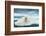 Polar Bear on Hudson Bay Pack Ice, Nunavut, Canada-Paul Souders-Framed Photographic Print