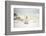 Polar Bear on Hudson Bay Sea Ice, Nunavut Territory, Canada-Paul Souders-Framed Photographic Print