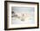 Polar Bear on Hudson Bay Sea Ice, Nunavut Territory, Canada-Paul Souders-Framed Photographic Print