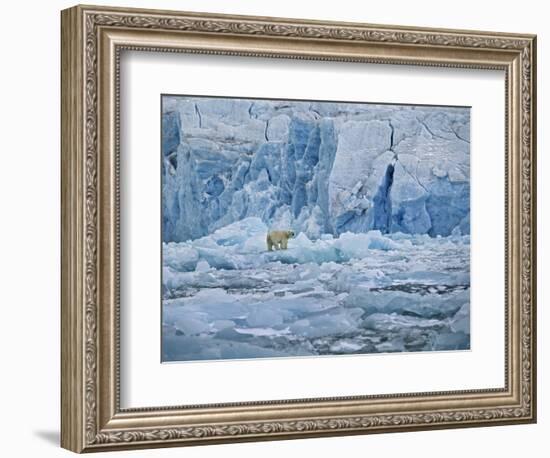 Polar Bear on Ice at Monaco Glacier-Hans Strand-Framed Photographic Print