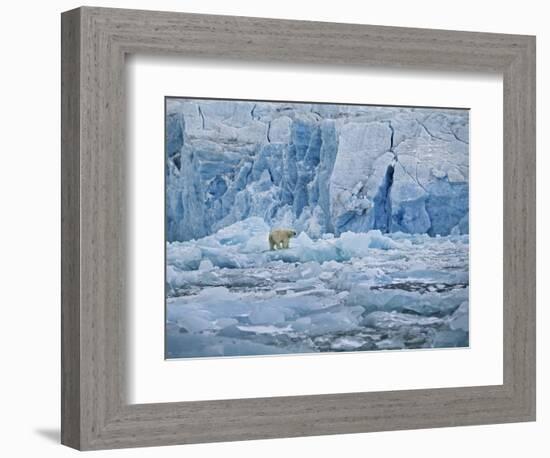 Polar Bear on Ice at Monaco Glacier-Hans Strand-Framed Photographic Print