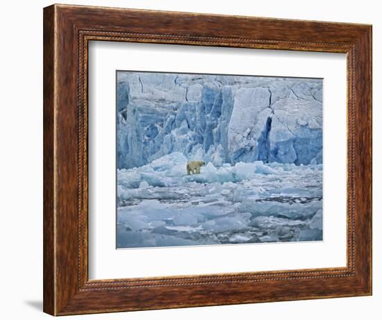 Polar Bear on Ice at Monaco Glacier-Hans Strand-Framed Photographic Print