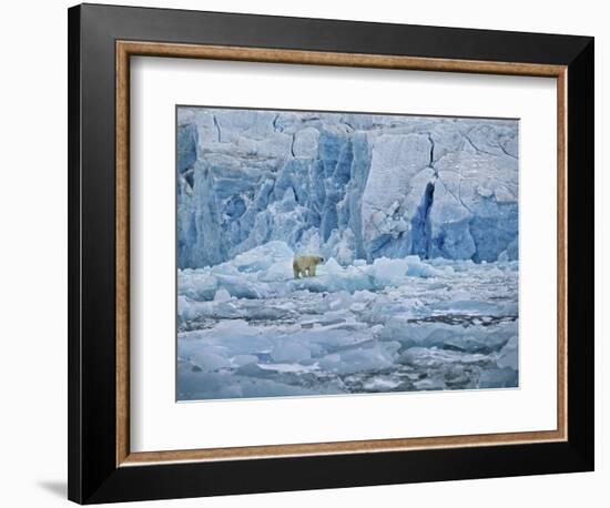 Polar Bear on Ice at Monaco Glacier-Hans Strand-Framed Photographic Print