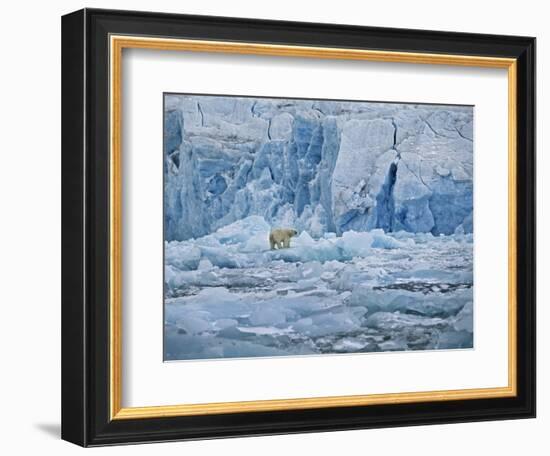 Polar Bear on Ice at Monaco Glacier-Hans Strand-Framed Photographic Print