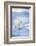 Polar Bear on Sea Ice-DLILLC-Framed Photographic Print