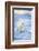 Polar Bear on Sea Ice-DLILLC-Framed Photographic Print