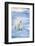 Polar Bear on Sea Ice-DLILLC-Framed Photographic Print