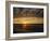 Polar Bear on the Tundra at Sunset-Howard Ruby-Framed Photographic Print