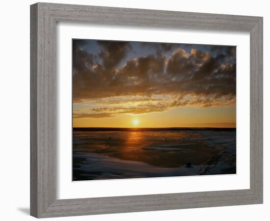 Polar Bear on the Tundra at Sunset-Howard Ruby-Framed Photographic Print