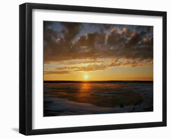 Polar Bear on the Tundra at Sunset-Howard Ruby-Framed Photographic Print