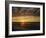 Polar Bear on the Tundra at Sunset-Howard Ruby-Framed Photographic Print