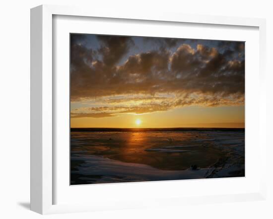 Polar Bear on the Tundra at Sunset-Howard Ruby-Framed Photographic Print