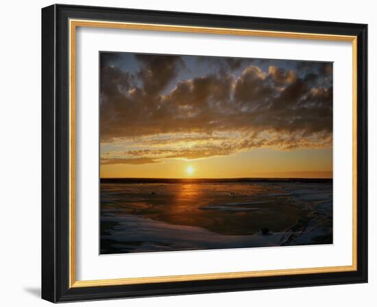 Polar Bear on the Tundra at Sunset-Howard Ruby-Framed Photographic Print