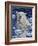 Polar Bear Painting-Jeff Tift-Framed Giclee Print