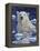 Polar Bear Painting-Jeff Tift-Framed Premier Image Canvas