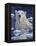 Polar Bear Painting-Jeff Tift-Framed Premier Image Canvas