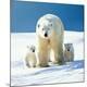 Premium Photographic Print