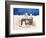 Polar Bear Picnic, 1997-Cathy Baxter-Framed Giclee Print