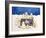 Polar Bear Picnic, 1997-Cathy Baxter-Framed Giclee Print