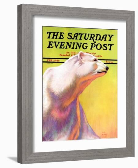 "Polar Bear," Saturday Evening Post Cover, February 1, 1936-Jack Murray-Framed Giclee Print