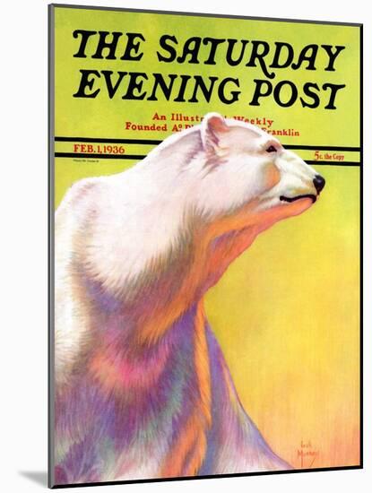 "Polar Bear," Saturday Evening Post Cover, February 1, 1936-Jack Murray-Mounted Giclee Print