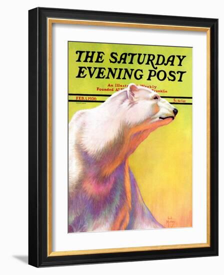 "Polar Bear," Saturday Evening Post Cover, February 1, 1936-Jack Murray-Framed Giclee Print