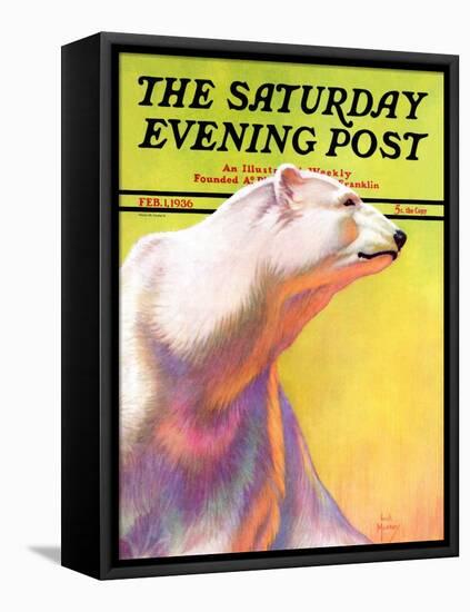 "Polar Bear," Saturday Evening Post Cover, February 1, 1936-Jack Murray-Framed Premier Image Canvas