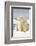 Polar Bear Sits Along Barrier Island, Bernard Spit, ANWR, Alaska, USA-Steve Kazlowski-Framed Photographic Print