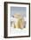 Polar Bear Sits Along Barrier Island, Bernard Spit, ANWR, Alaska, USA-Steve Kazlowski-Framed Photographic Print