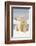 Polar Bear Sits Along Barrier Island, Bernard Spit, ANWR, Alaska, USA-Steve Kazlowski-Framed Photographic Print