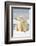 Polar Bear Sits Along Barrier Island, Bernard Spit, ANWR, Alaska, USA-Steve Kazlowski-Framed Photographic Print