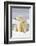 Polar Bear Sits Along Barrier Island, Bernard Spit, ANWR, Alaska, USA-Steve Kazlowski-Framed Photographic Print