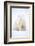 Polar bear sitting in snow during a blizzard, Churchill, Canada-Danny Green-Framed Photographic Print