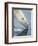 Polar Bear sniffing water-Paul Souders-Framed Photographic Print