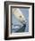 Polar Bear sniffing water-Paul Souders-Framed Photographic Print