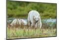 Premium Photographic Print